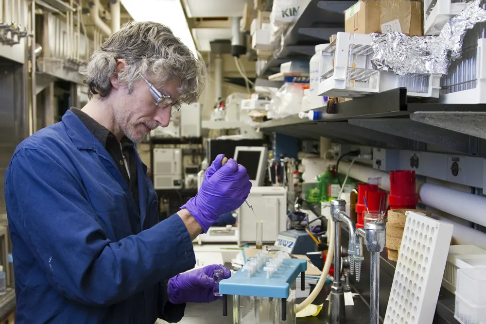 Laboratory professional carefully preparing test samples